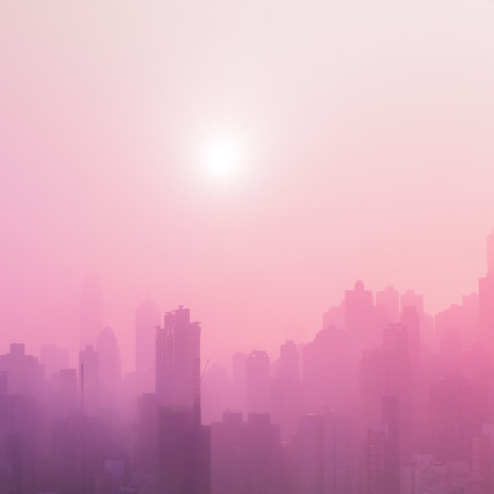 Meet your Posher, Estela